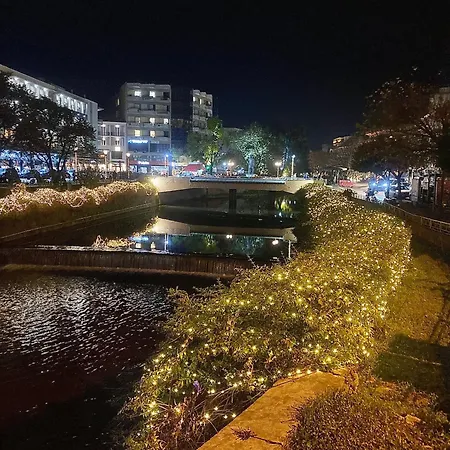 Top1 View 트리칼라