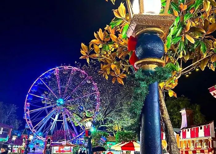 Top1 View Apartament